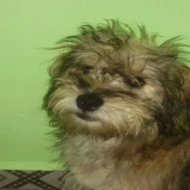 Billy