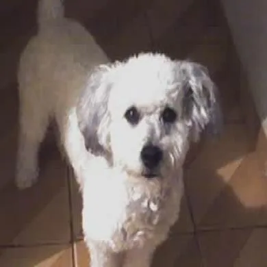 sam(samuel)