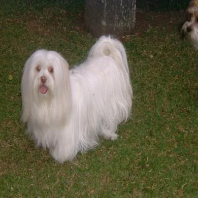 yasmin
