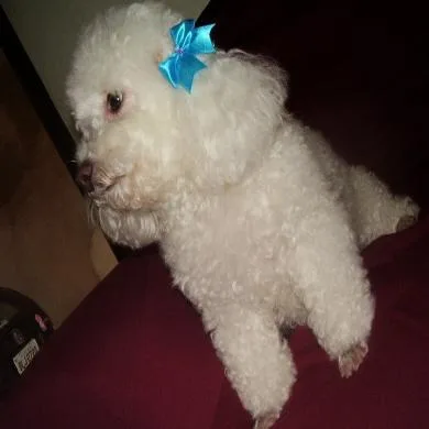 Ammy