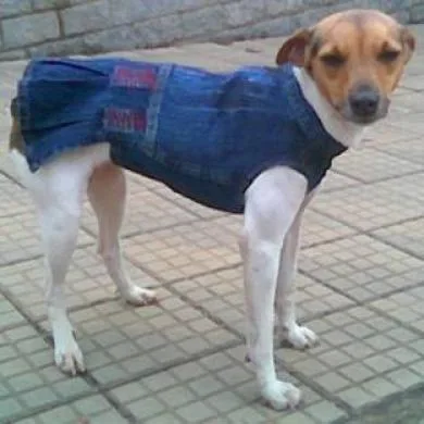 Tita