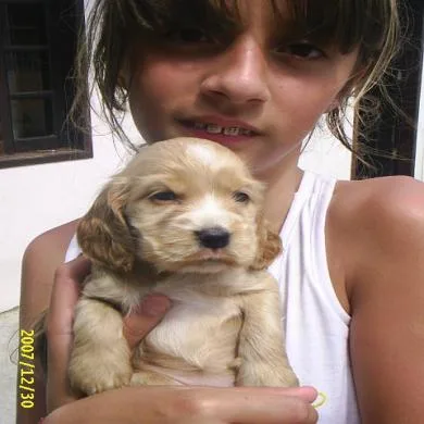 molly