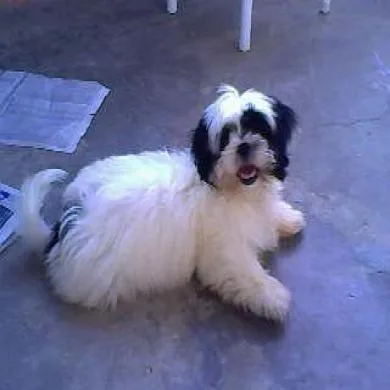 jhon 