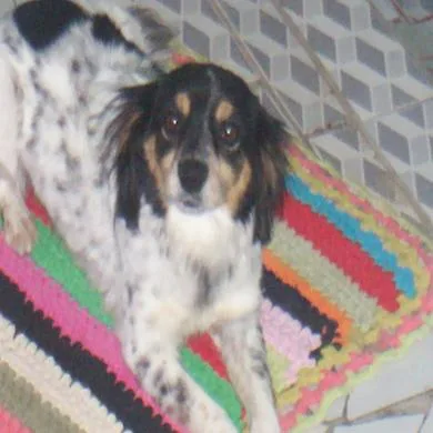 jhuly de fátima teodoro