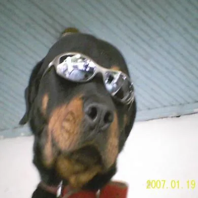 thor