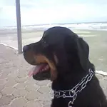 Hera
